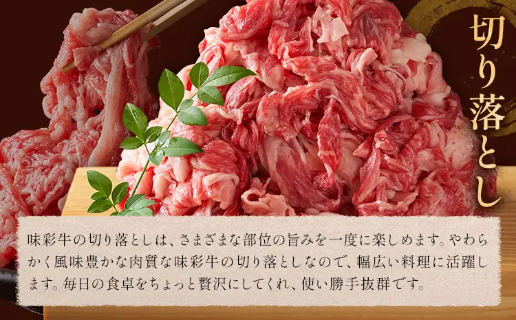味彩牛 切り落とし 約600g×2パック 計1.2kg 菊池地域農業協同組合(JA菊池まんまキッチン)《90日以内に出荷予定(土日祝除く)》熊本県 菊池市 切落し スライス済み 小分け 牛肉 お肉 熊本県産 九州産 国産 冷凍 送料無料