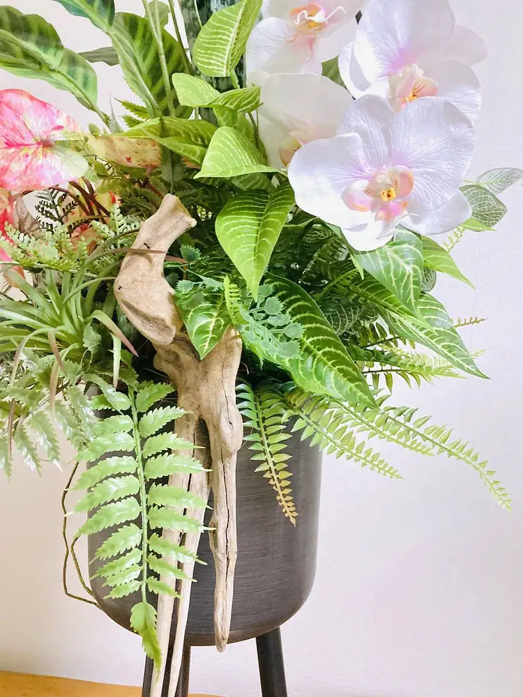 人工観葉植物 天然流木アート『カラティア』｜観葉アレンジ