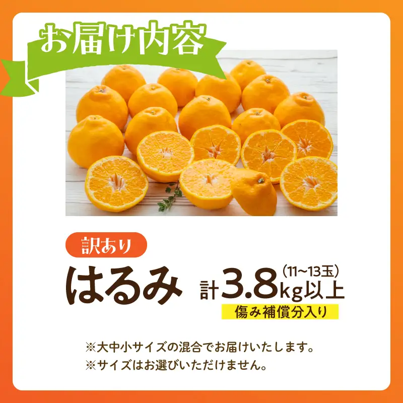 先行予約 訳あり はるみ 計3.8kg以上 傷み補償分入り_BAV24-26