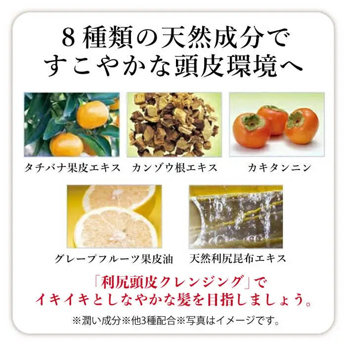 利尻頭皮クレンジング ［無添加］+［薬用］利尻頭皮シャンプー +［薬用］利尻頭皮コンディショナー +［薬用］利尻頭皮エッセンス 100ml  糸島市 / 株式会社ピュール [AZA106]