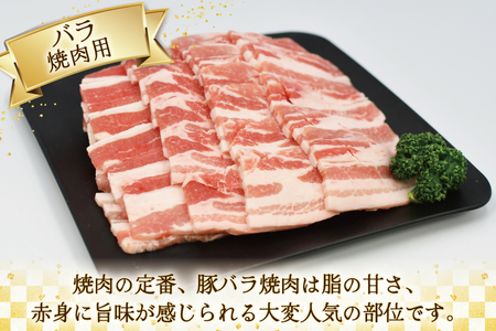 肉 豚肉 宮崎県産豚肉4種セット 詰め合わせ 1.5kg