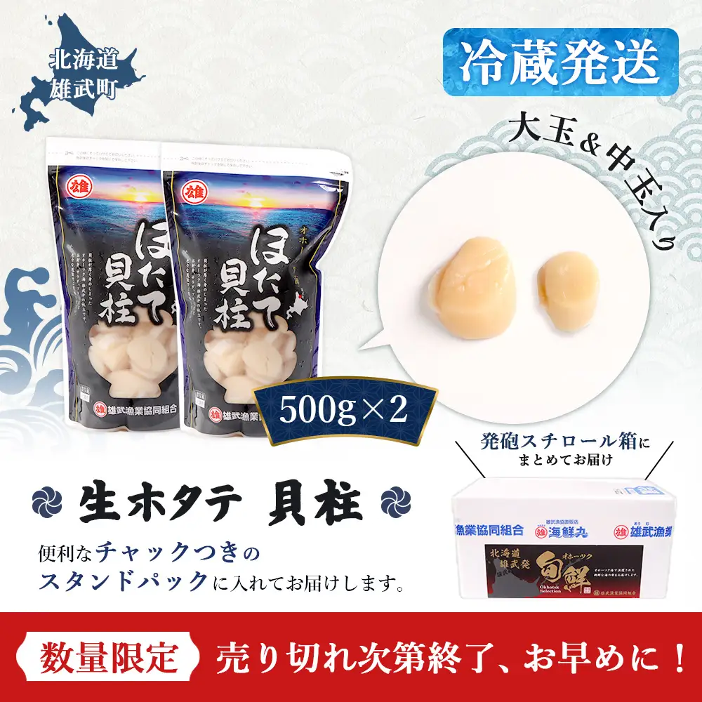 【関東限定！生ほたて】《期間限定》北海道雄武産 生玉ほたて1kg 500g×2塩水パック（冷蔵）【0713203】