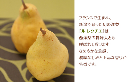 【2026年11月下旬配送】 ル レクチエ 【贈答用】 2kg 5～7玉 野沢果樹園 西洋梨 Le Lectier 新潟 