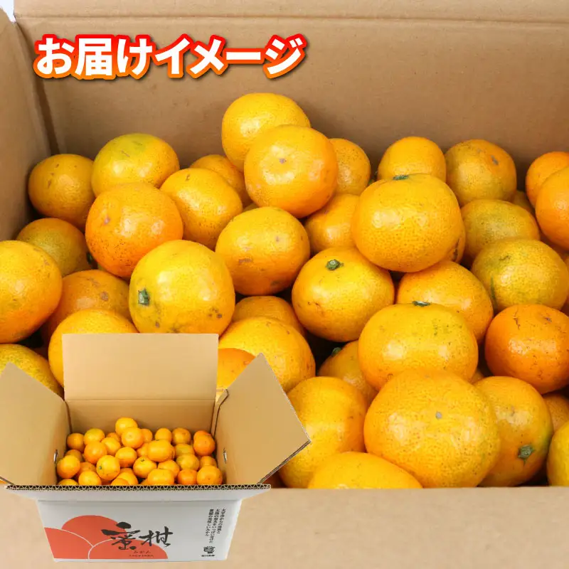 訳あり 小玉 みかん 9kg サイズ 不揃い 植村農園 小玉 B010-153010