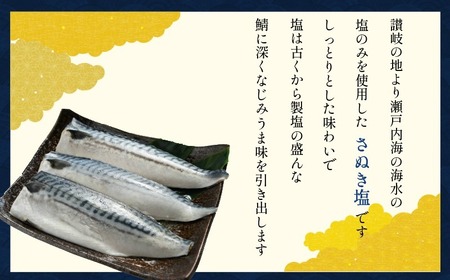 【 スピード配送 】 適塩さば 5kg さば