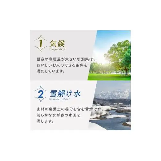 米〈4～7営業日で発送〉令和7年産 新潟見附市産コシヒカリ5kg