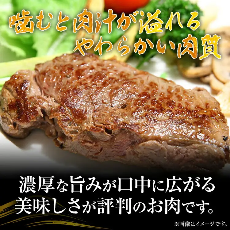 博多和牛ヒレステーキ 450g（150g×3枚） 黒毛和牛 お取り寄せグルメ お取り寄せ お土産 九州 福岡土産 取り寄せ グルメ MEAT PLUS CP029