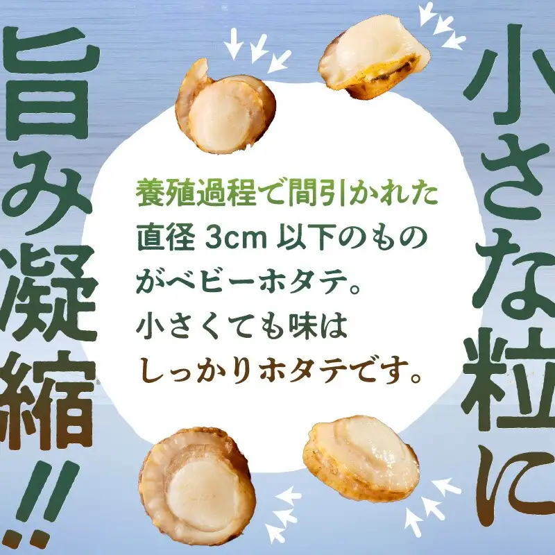 【ふるなびWEEK対象】北海道産 ベビーホタテ 200g ×6パック ボイル済_HD145-002