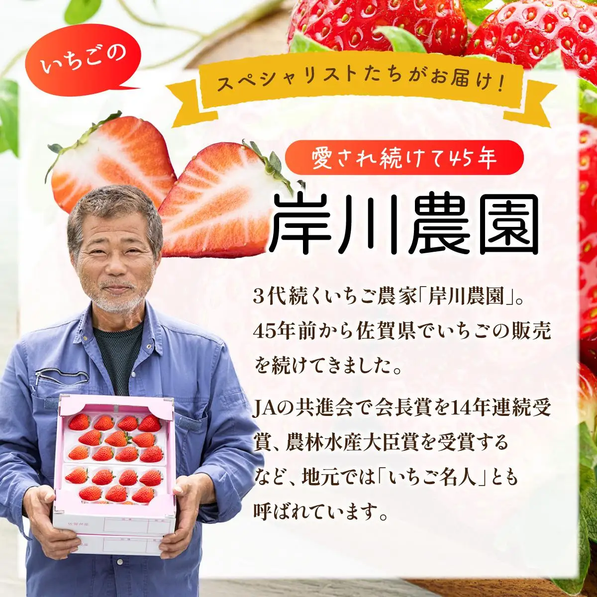 いちごさん約1kg（235g×4p）