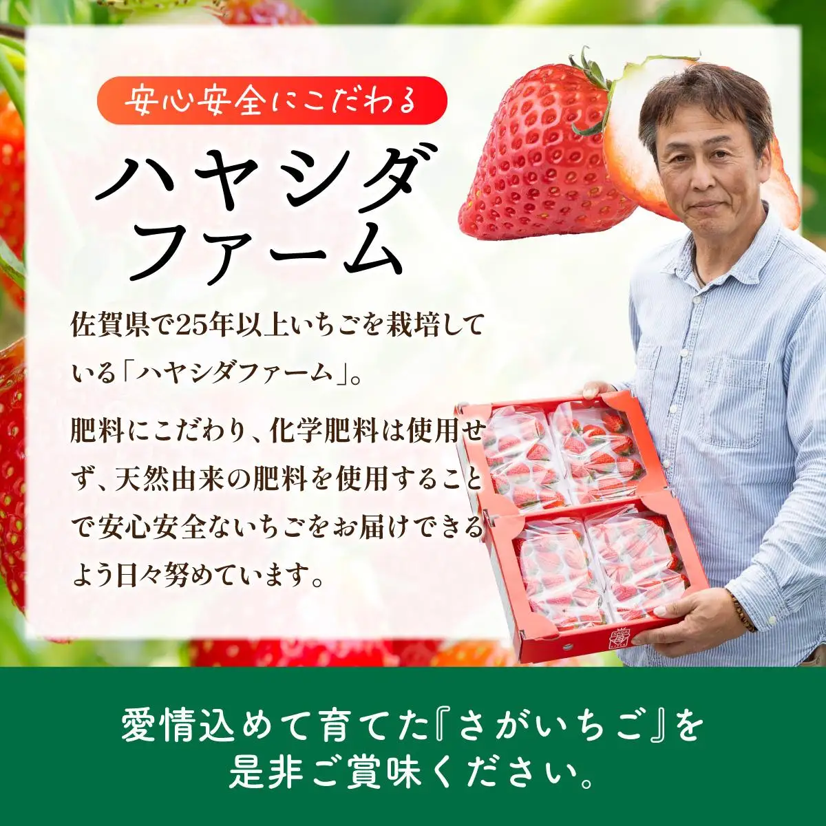 【先行予約】最高級品質”さがほのか” 約1kg（235g×4p）