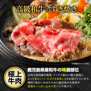 鹿児島県産 黒毛和牛 肩ロース スライス (計600g・300g×2P) 【ナンチク】nanchiku-7259