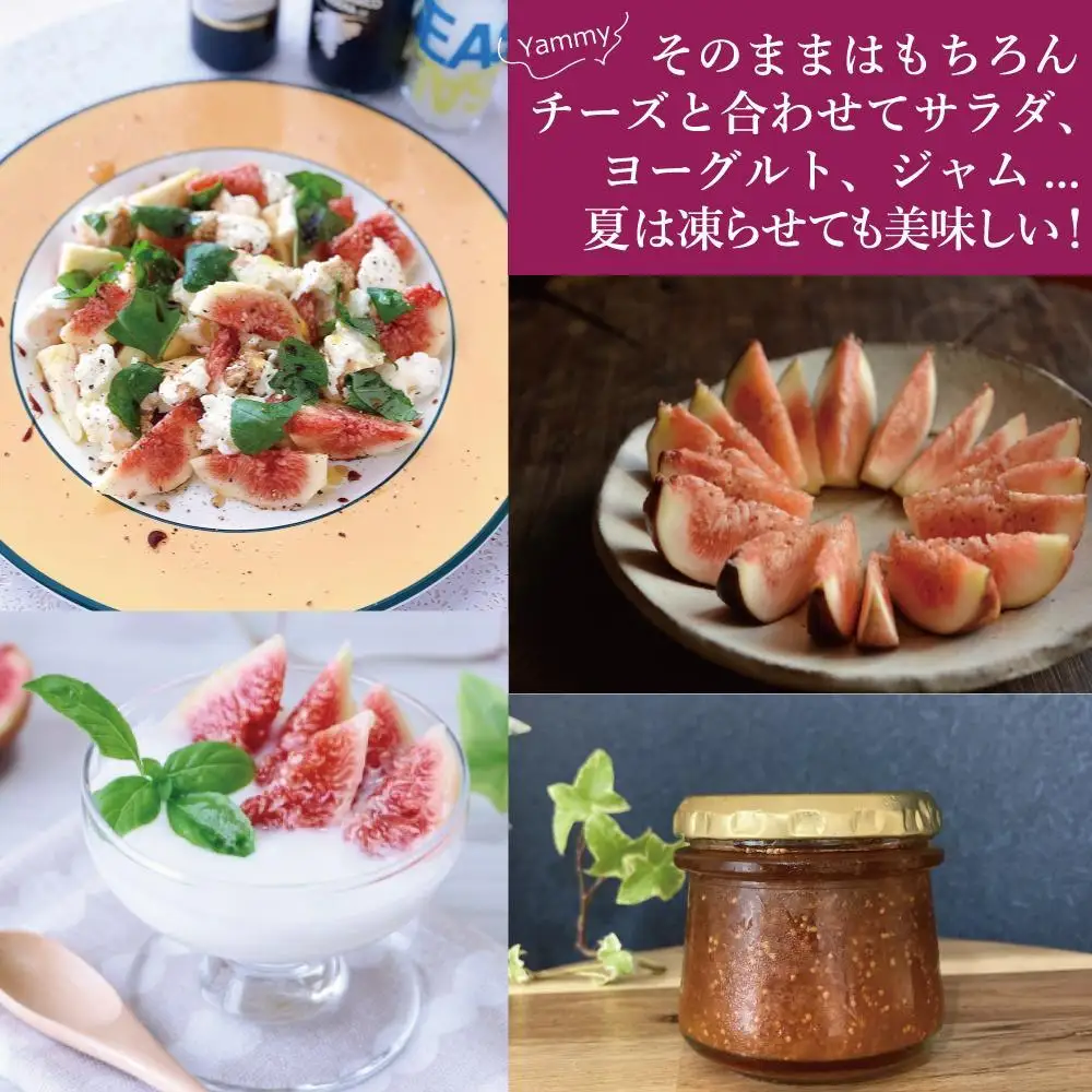 【福岡限定ブランド】いちじく とよみつひめ 300g×8パック ( 約2.4kg )| いちじく 福岡県産 果物 フルーツ とよみつひめ 福岡県 大川市