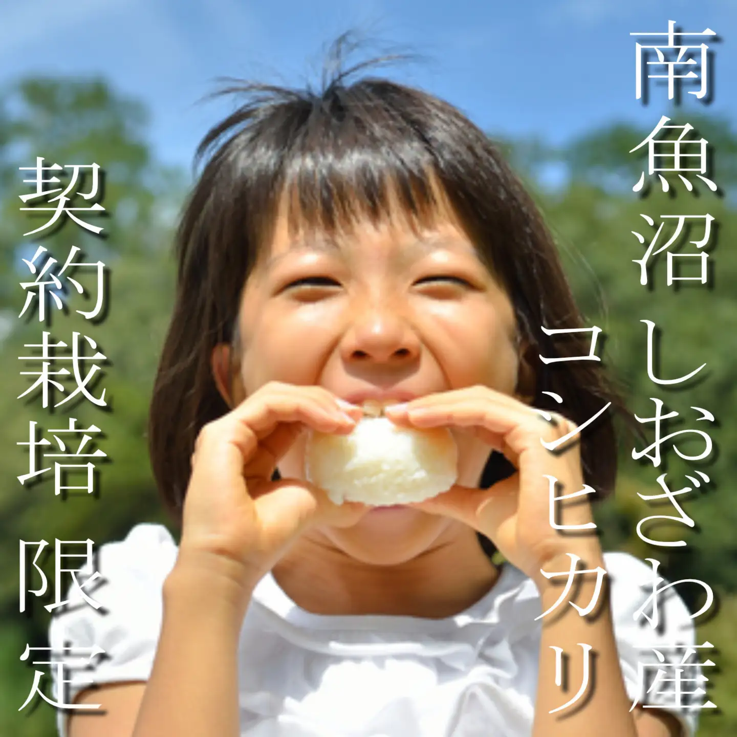 【令和8年産　新米予約】定期便3ヶ月：精米10Kg 契約栽培限定 南魚沼しおざわ産コシヒカリ【定期便 銘柄米 ブランド米 精米 こしひかり コシヒカリ 魚沼産 新潟米 ごはん】【2026年10月上旬から1ヶ月以内に順次発送予定】
