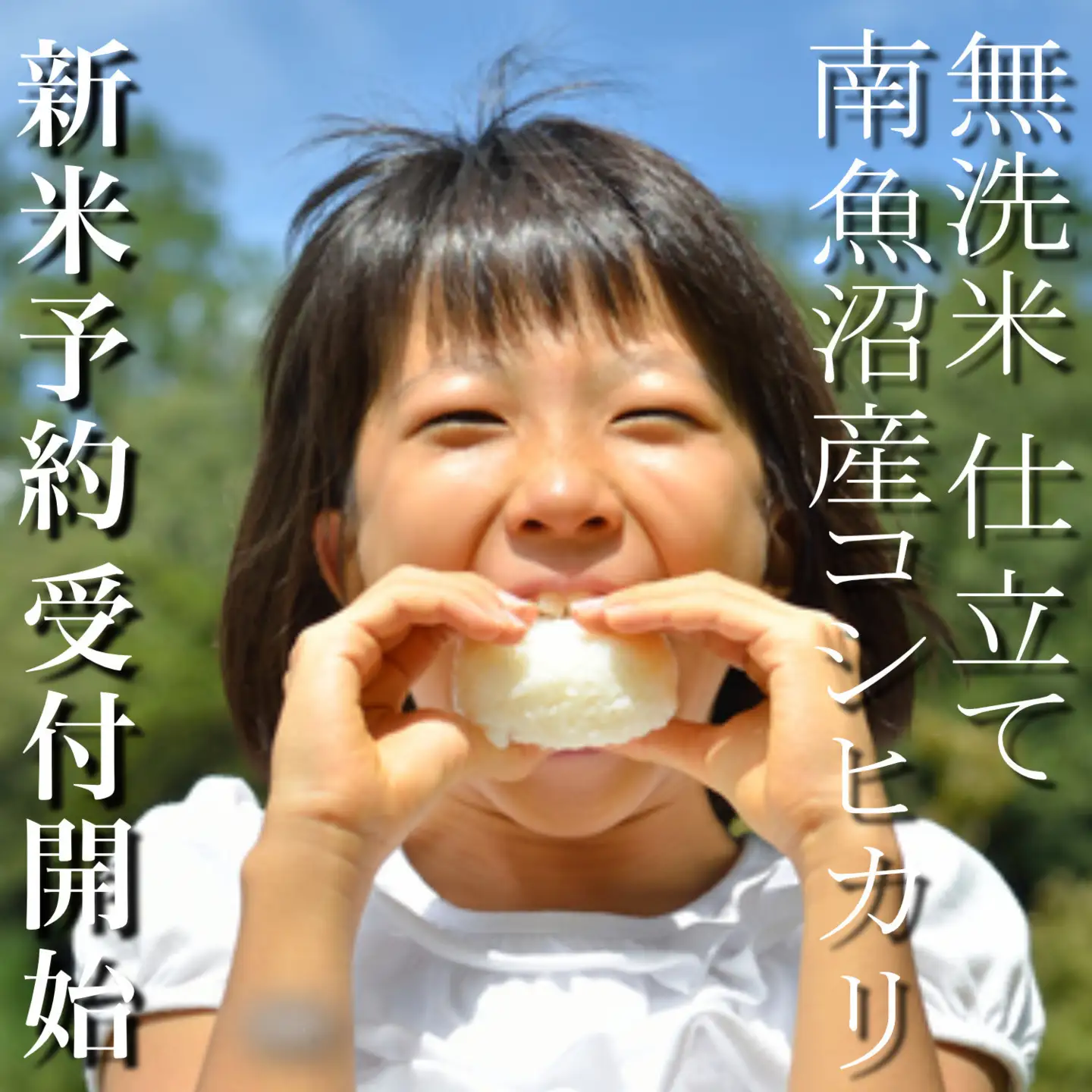 【令和8年産　新米予約】定期便１２ヶ月：無洗米５Kg 南魚沼産コシヒカリ【定期便 銘柄米 ブランド米 無洗米 こしひかり コシヒカリ 魚沼産 新潟米 産地直送 お米 米 こめ ごはん】【2026年10月上旬から1ヶ月以内に順次発送予定】