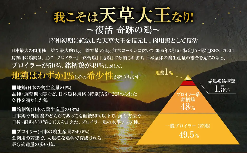 天草大王プレミアムバーベキューセット（大） 計18パック 天草大王 焼鳥 手羽先 串 ウインナー コロコロカット