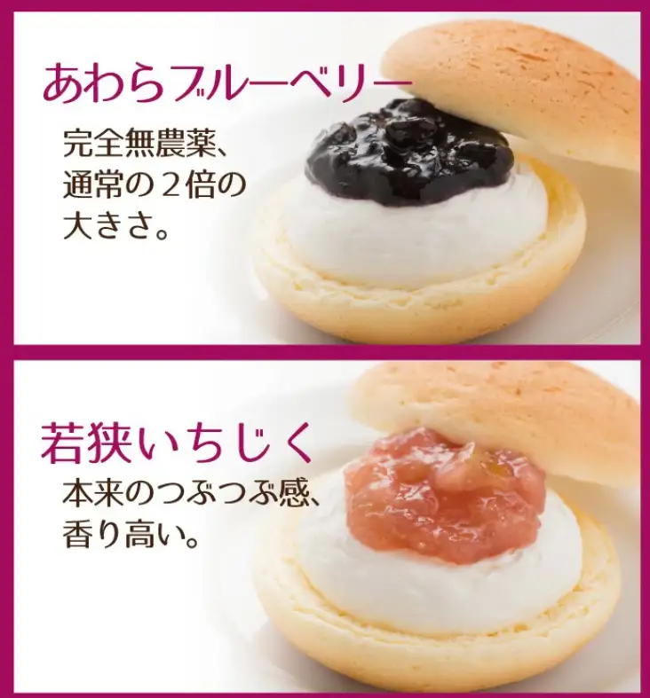 ふわとろカスタード10個入り（5種×各2個）【甘さ控えめ 洋菓子 ブッセ スイーツ 福井県産 フルーツ チーズ風味 高井屋】[A-019002]