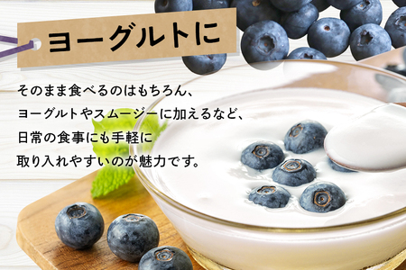 冷凍ブルーベリー 約1kg ブルーベリー 冷凍 フルーツ 果物 くだもの 冷凍フルーツ 冷凍果物 完熟 新鮮 人気 ギフト 贈り物 プレゼント 茨城県産 55-C