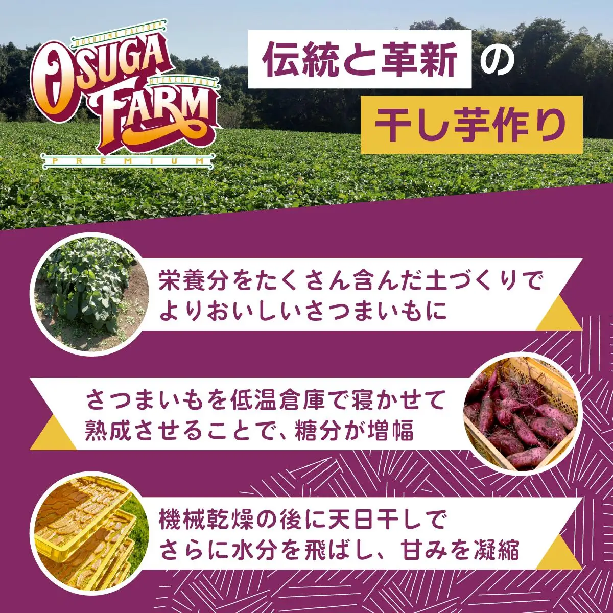 【2月以降発送】2026全国ほしいもグランプリ日本一「紅はるか」1.2kg(400g×3パック)　_果物・フルーツ 干し芋 ドライフルーツ ほしいも ホシイモ_【1522409】