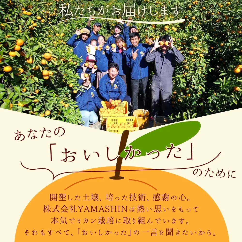 【訳あり】有田みかん 約5kg サイズ混合 みかん【nuk161E】 