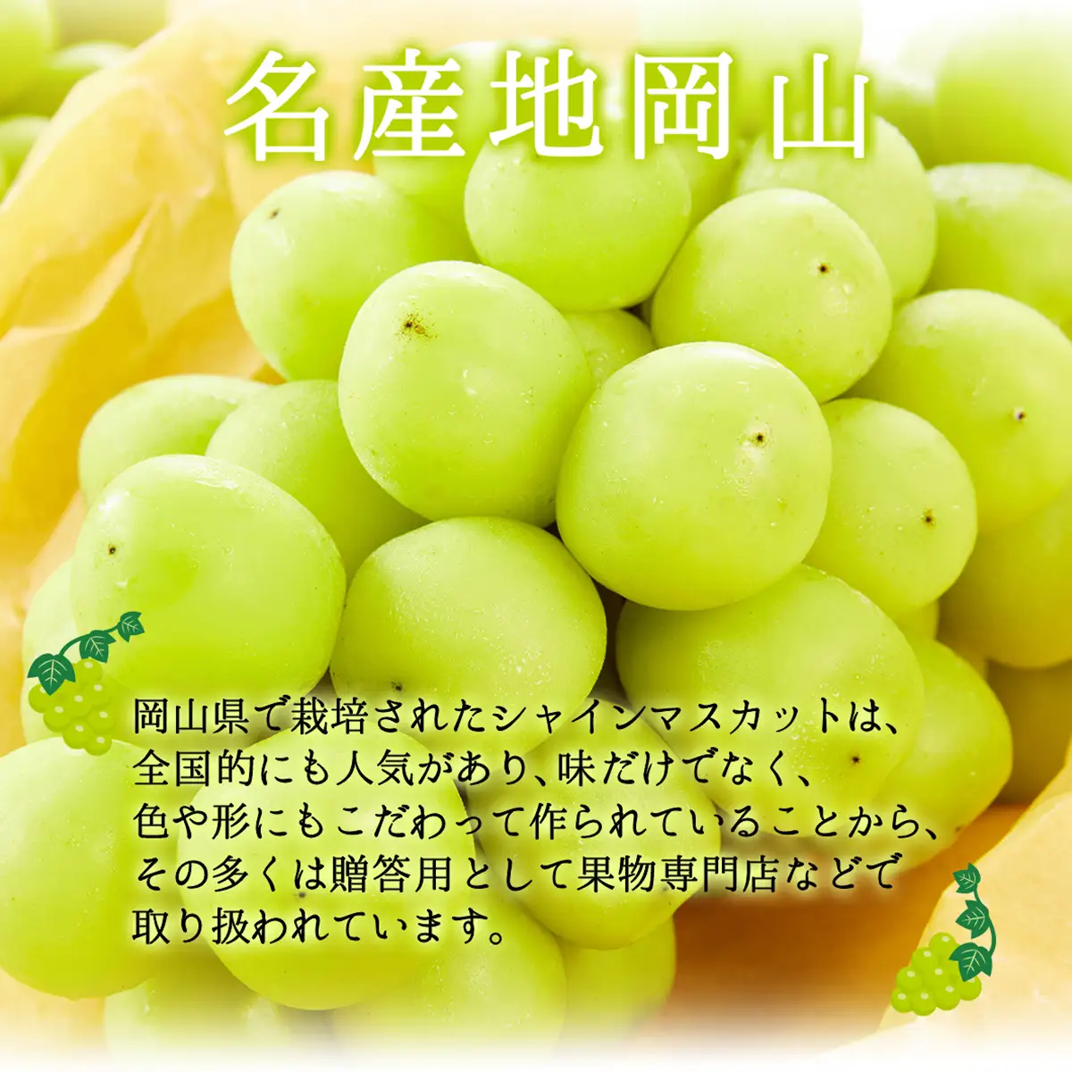 【期間限定】鏡野町産 シャインマスカット 2kg（2～4房）