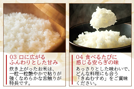 「令和6年産 新米 先行受付」 那賀町相生産 きぬむすめ 白米 10kg 1袋 「2024年10月上旬より発送」 【徳島 那賀 国産 徳島県産 お米 こめ おこめ 米 ご飯 ごはん 白ご飯 白米 10キロ 和食 おにぎり お弁当 白米 精米 おいしい 食べて応援 お取り寄せ 産地直送】YS-35