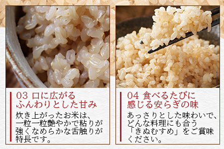 「令和6年産 新米 先行受付」 那賀町相生産 きぬむすめ 玄米 5kg 1袋 「2024年10月上旬より発送」 【徳島 那賀 国産 徳島県産 お米 こめ おこめ 米 ご飯 ごはん 玄米 5キロ 和食 おにぎり お弁当 おいしい 玄米 食べて応援 お取り寄せ 産地直送】YS-36