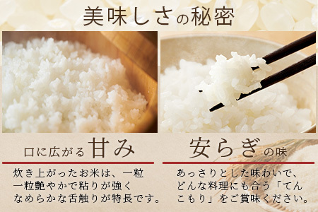 「令和6年産 新米 先行受付」 那賀町相生産 てんこもり 白米 5kg 1袋 「2024年10月上旬より発送」 【徳島 那賀 国産 徳島県産 特A ブランド米 お米 こめ おこめ 米 ご飯 ごはん 白ご飯 白米 5キロ 和食 おにぎり お弁当 白米 精米 おいしい 食べて応援 お取り寄せ 産地直送】YS-38