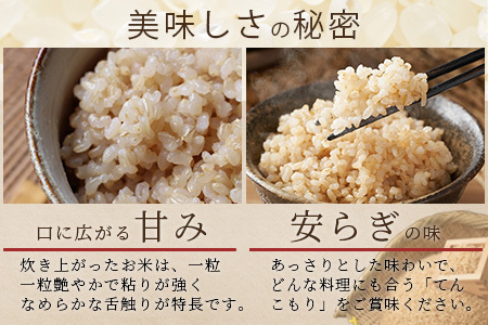 「令和6年産 新米 先行受付」 那賀町相生産 てんこもり 玄米 10kg 1袋 「2024年10月上旬より発送」 【徳島 那賀 国産 徳島県産 特A ブランド米 お米 こめ おこめ 米 ご飯 ごはん 玄米 10キロ 和食 おにぎり お弁当 玄米 おいしい 食べて応援 お取り寄せ 産地直送】YS-41