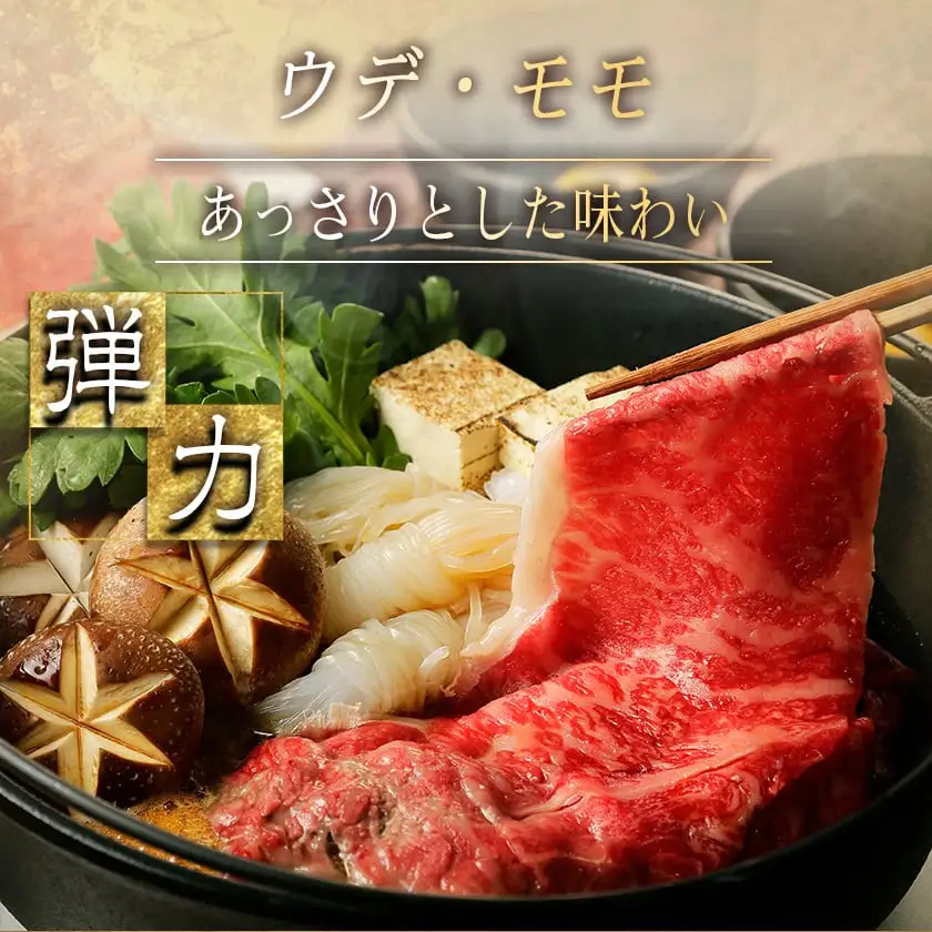 宮崎牛スライスセット1kg〔AC-2526〕_(都城市) 宮崎牛 上級ランク リブロース スライス ウデ モモ 500g 霜降りすき焼き