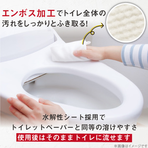 KIREI楽々 流せる重曹+セスキ トイレクリーナー24枚×40パック 流せるトイレクリーナー 便利トイレクリーナー 楽々簡単 トイレ掃除 掃除グッズ 年末大掃除 ハウスキーピング [032T09]