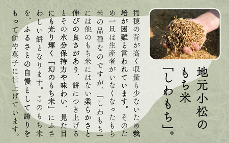 【河田ふたば】お餅食べ比べセット2種類 各10個入×2袋 計40個 餅