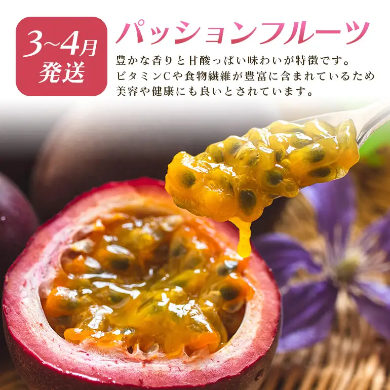 フルーツ 定期便 全 3回 名護パイン園 178-5