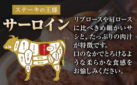 くまもと黒毛和牛 サーロインステーキ  750g  牛肉 冷凍 《30日以内に出荷予定(土日祝除く)》 くまもと黒毛和牛 黒毛和牛 冷凍庫 個別 取分け 小分け 個包装 ステーキ肉 にも サーロインステーキ 美味しい牛肉 熊本牛肉 ジューシー牛肉 贅沢な牛肉 