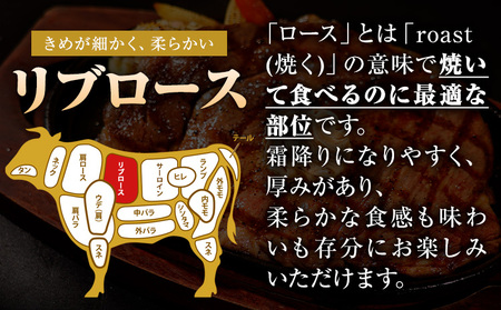 くまもと黒毛和牛 リブロースステーキ 250g ( 250g x 1枚 ) 牛肉 冷凍 《30日以内に出荷予定(土日祝除く)》 くまもと黒毛和牛 黒毛和牛 冷凍庫 個別 取分け 小分け 個包装 ステーキ肉 にも リブロースステーキ 美味しい牛肉 熊本牛肉 ジューシー牛肉 贅沢な牛肉