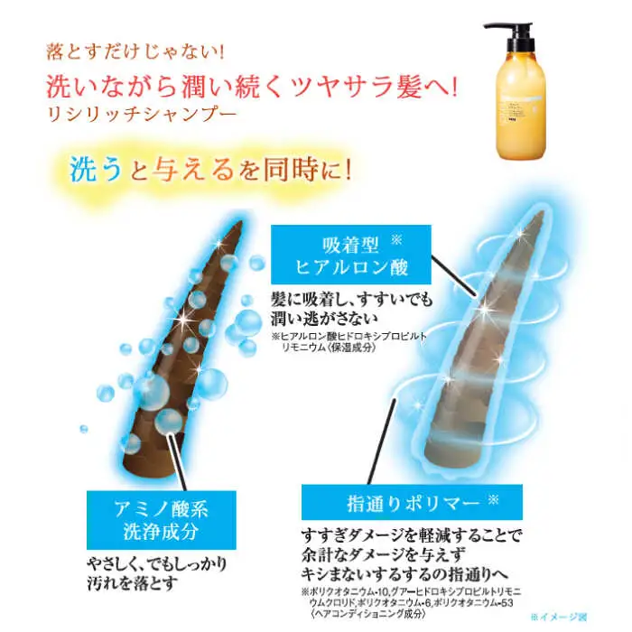 【8本セット】リシリッチ シャンプー ［無添加］＋リシリッチ コンディショナー ［無添加］ 糸島市 / 株式会社ピュール ヘアケア シャンプー [AZA136]