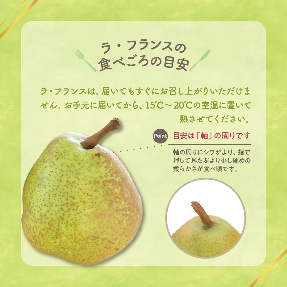 【先行予約】 令和8年産 ラ・フランス 約5kg 14玉 ～ 16玉