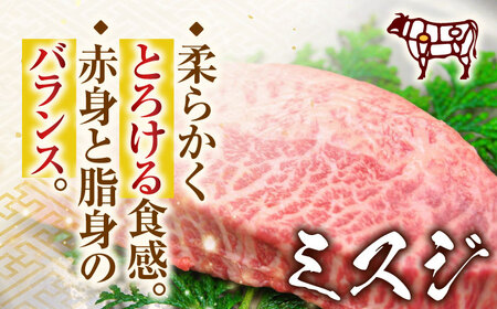 長崎和牛ミスジステーキ　約500g（100g×5p）ミスジ[QBS030]