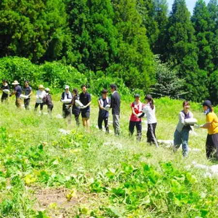採れたて直送!旬のお野菜セット Mサイズ(8品目以上)【種類おまかせ】_野菜   _【配送不可地域：離島】【1329347】