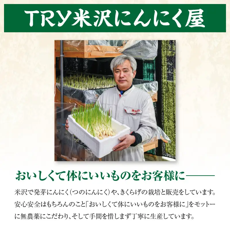 つのにんにく 10本 × 7袋 計70本 発芽にんにく 