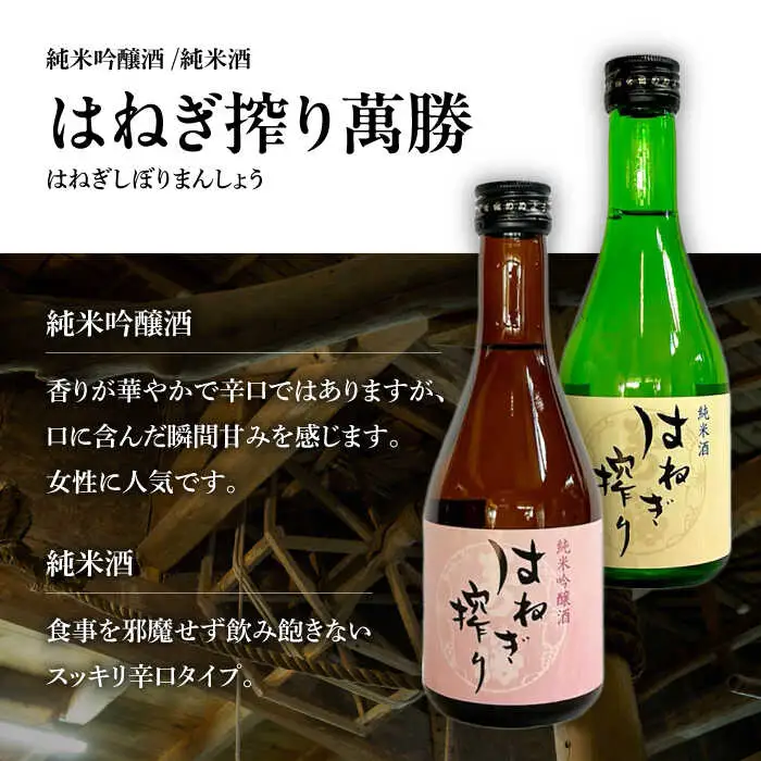 【夏限定！飲みくらべ(受賞酒入り)】5種 計1500ml(300ml×5本)「BANG純吟・BANG純米(受賞酒)・SUNFLOWER特純生貯・はねぎ純吟・はねぎ純米」/ 日本酒 にほんしゅ お酒 酒 飲み比べ / 南島原市 / 酒蔵吉田屋 [SAI037]