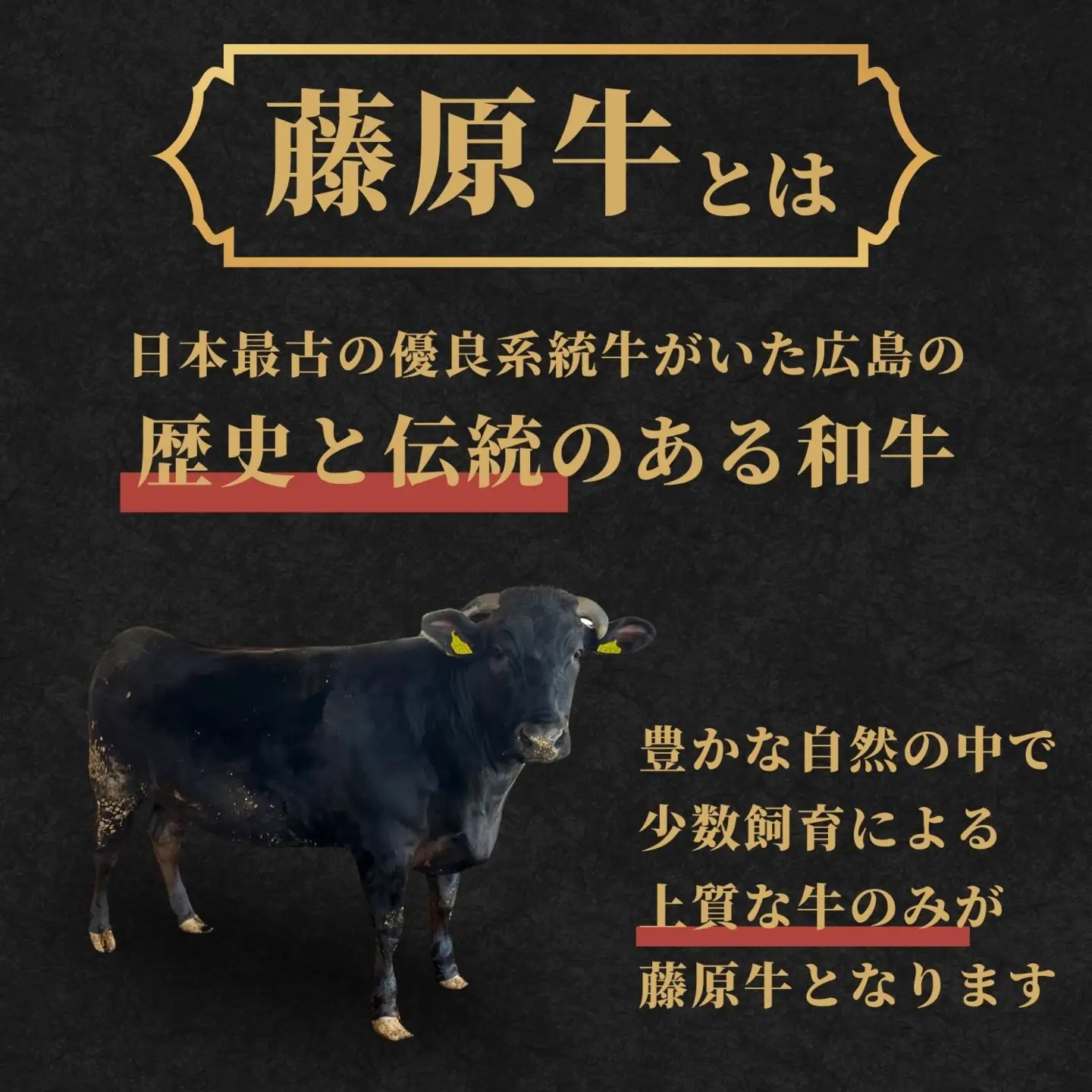 藤原牛 サーロインステーキ 5枚(1kg) ｜ 牛肉 和牛 国産 ステーキ サーロイン 冷凍 希少
