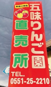 【2026年先行予約】【訳あり】秋映5kg(12個～16個） りんご 山梨県産 秋映 期間限定 家庭用 規格外 フルーツ 果物 果実 山梨 北杜市 [h301]