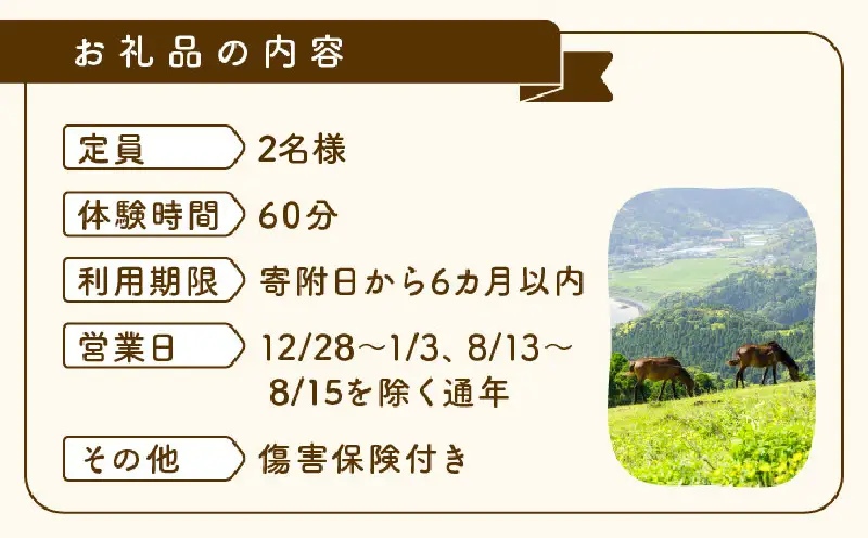 体験！おもしろ『都井岬野生馬』観察ガイドツアー_K042-001