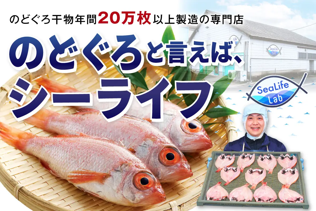 食塩のみで味つけしたノドグロと真イカの一夜干し合計10枚（約700g） 産地直送 干物 魚 人気 天然 ボリューム のどぐろ 白いか 焼くだけ 一夜干し 【005_0139】