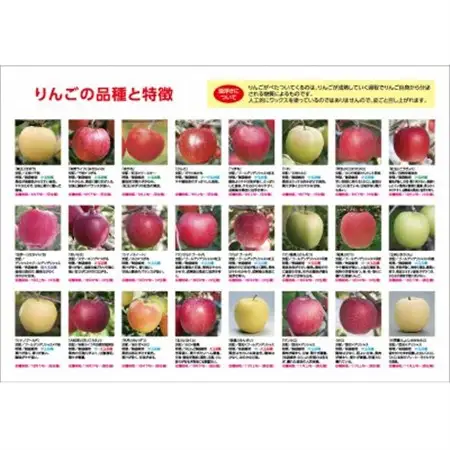 【発送月固定定期便】〈2027年2月より順次発送〉甘味系・青森りんご約3kg 全3回_果物・フルーツ りんご  リンゴ 林檎  定期便 定期便  _【配送不可地域：離島・沖縄県】【4051692】