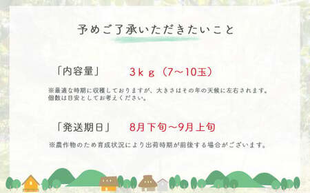 梨 新甘泉 二十世紀梨 食べ比べ 3kg（生橋農園）鳥取県産