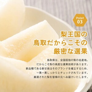 Y304 新甘泉（秀） 2.5kg