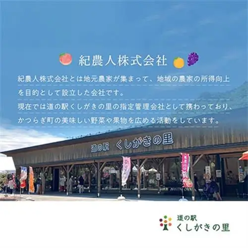 先行受付!　桃【川中島白桃】　(大玉特秀品)　約2kg　6～9個入　こだわり農家厳選!【配送不可地域：離島】【1525328】