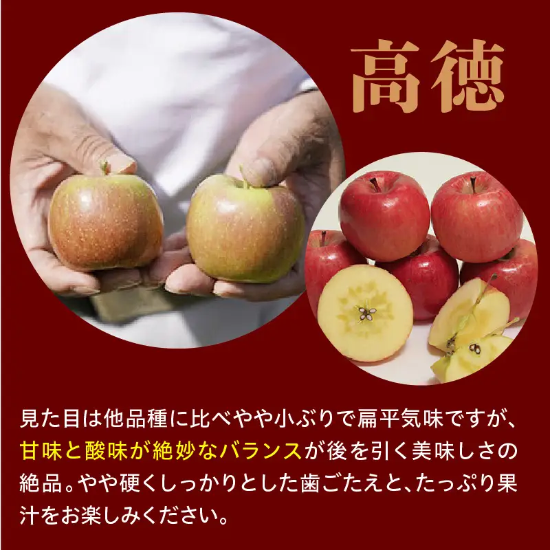 【先行予約】令和8年産 高徳りんご 秀以上 約1.8kg りんご