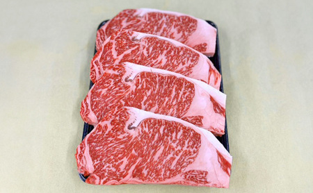 国産牛 サーロイン ステーキ 国産牛【200g×4】